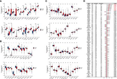 Systematical analysis of ferroptosis regulators and identification of GCLM as a tumor promotor and immunological biomarker in bladder cancer